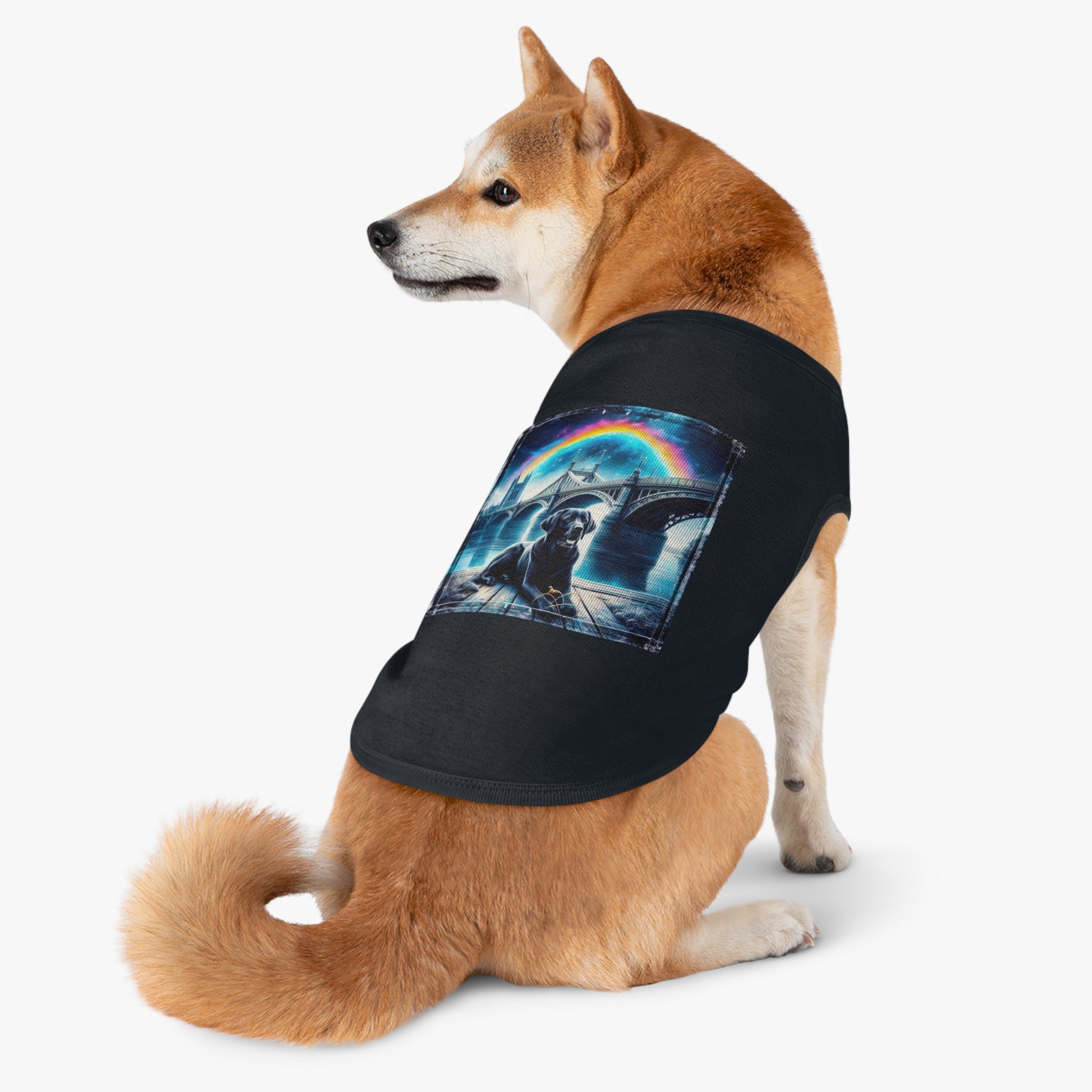 Labrador Retriever night sky shirt Pets Printify