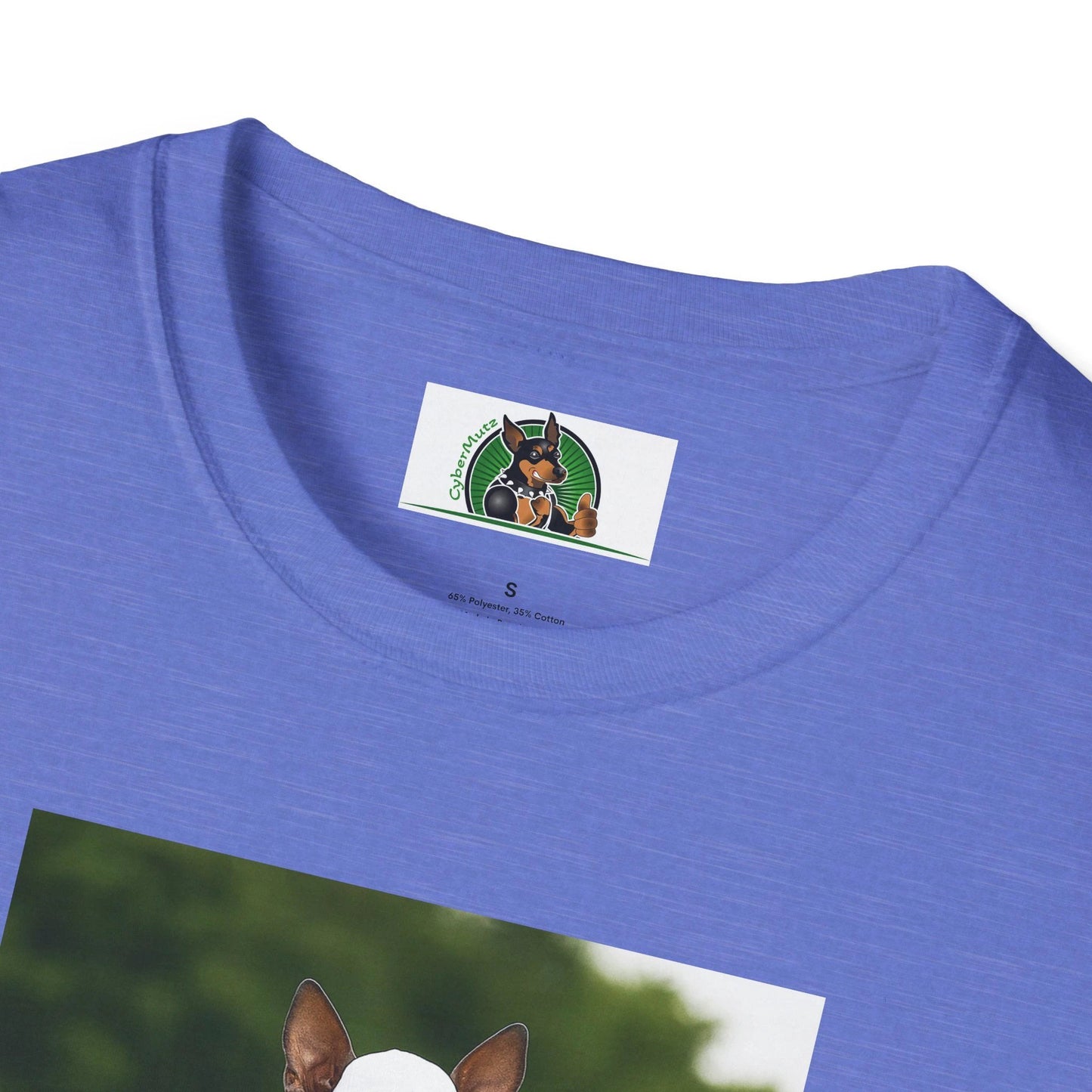 Mexican Hairless Dog Baseball Tee — Dog Lover Sports T-Shirt by Printify