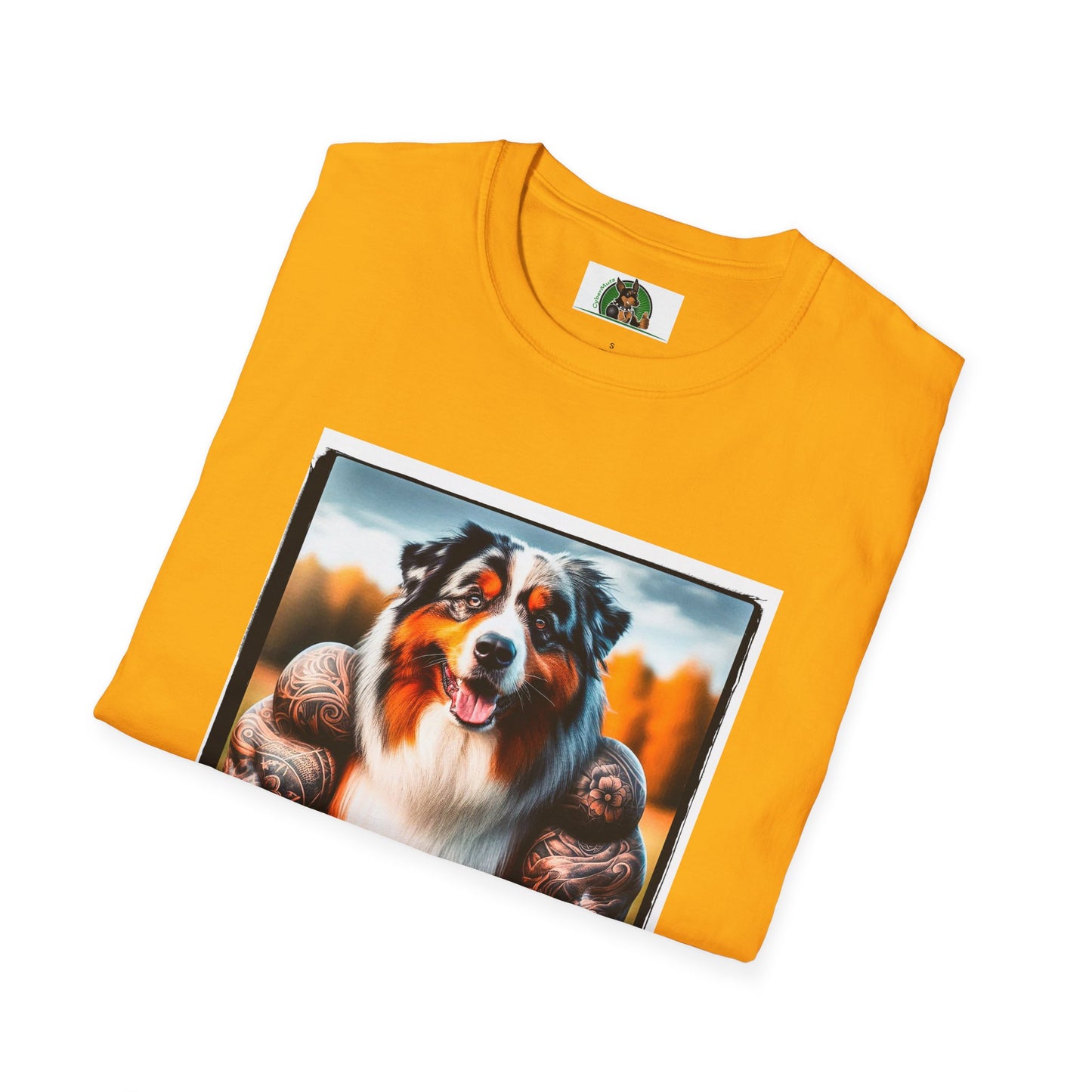 Australian Shepherd Muscle Dog