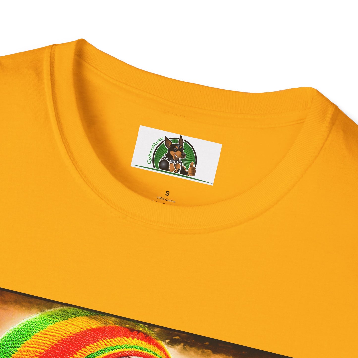 Basset Hound Playing Guitar Singing