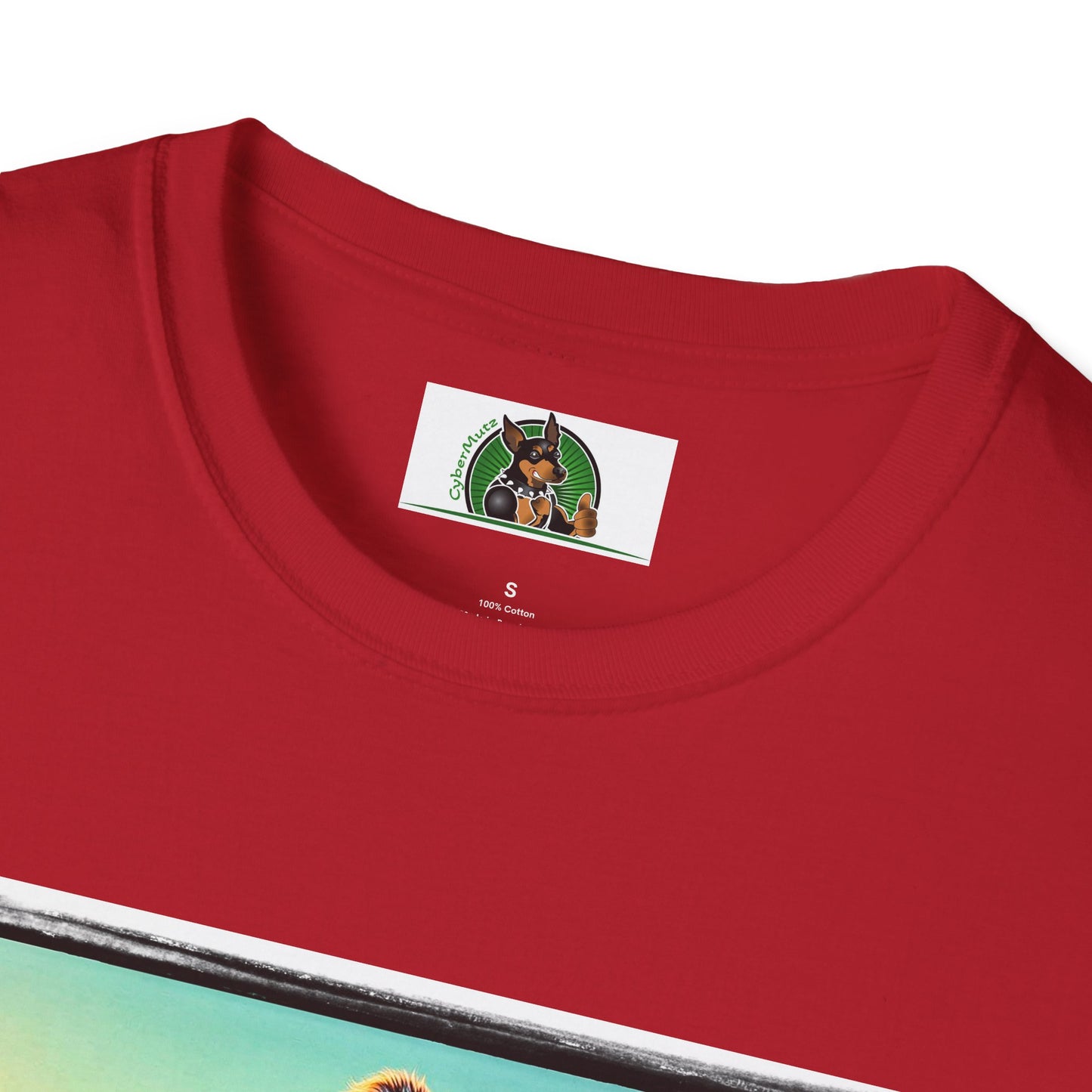 Wacky Australian Shepherd Dog In Mini Truck