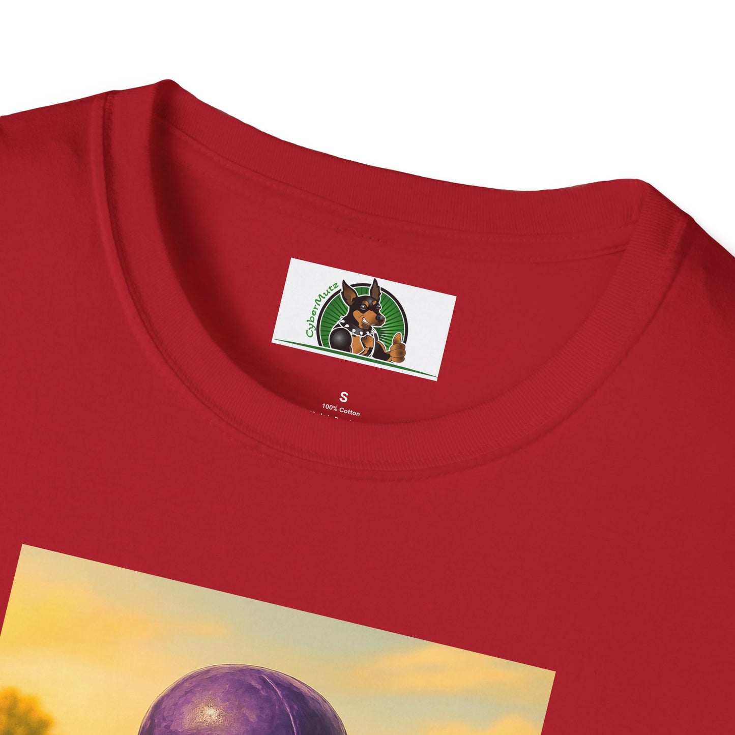 Sports Football Basset Hound T-Shirt