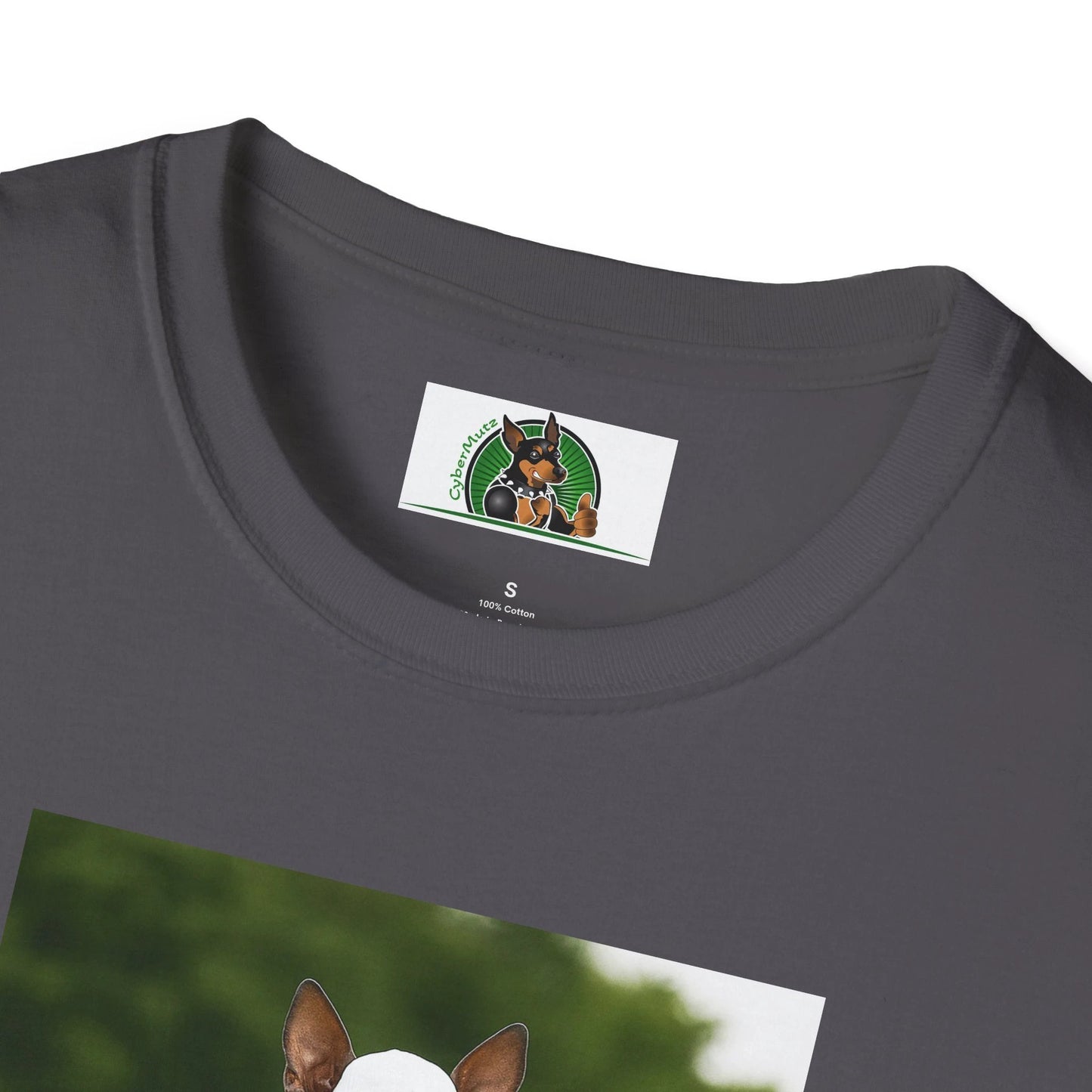 Mexican Hairless Dog Baseball Tee — Dog Lover Sports T-Shirt T-Shirt Printify