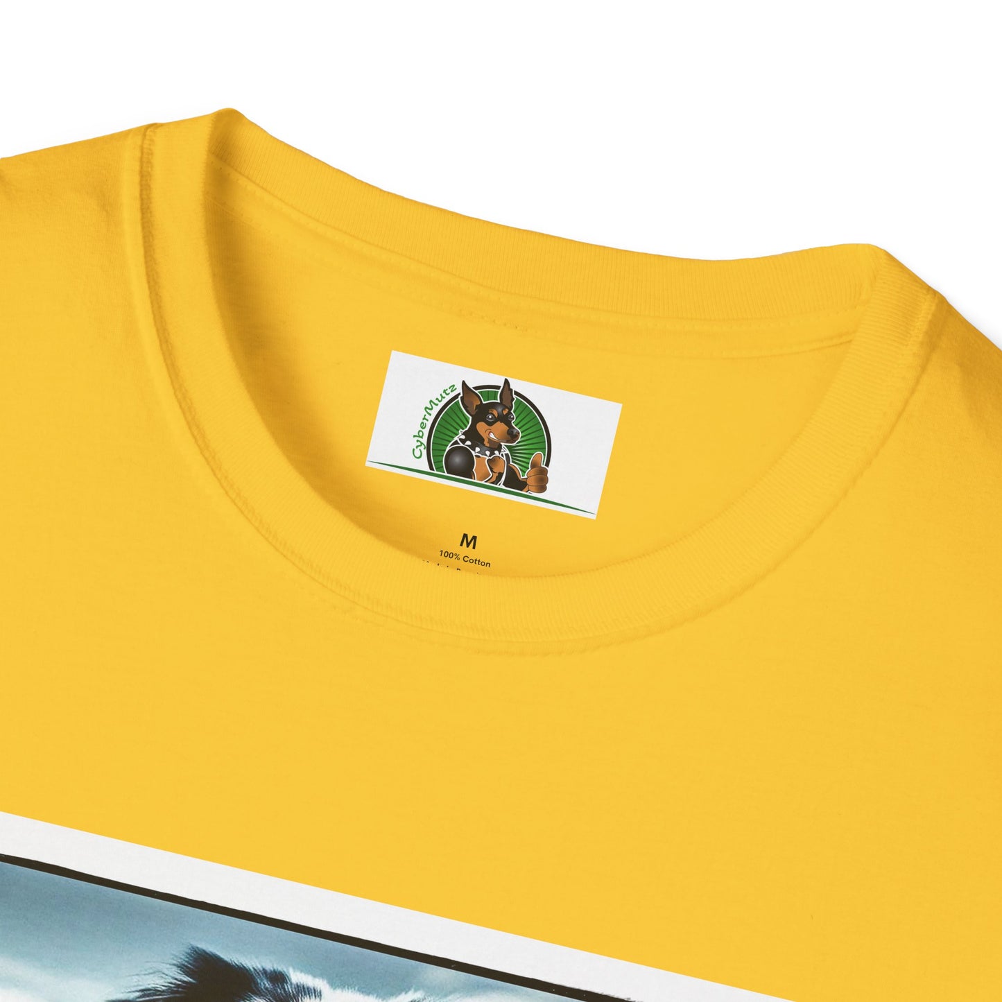 Australian Shepherd Muscle Dog