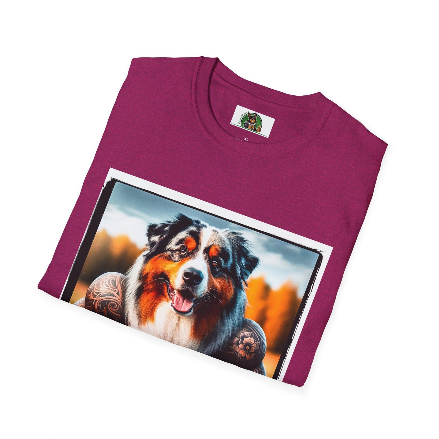 Australian Shepherd Muscle Dog