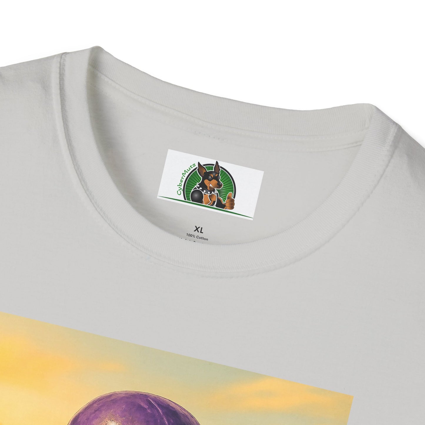 Sports Football Basset Hound T-Shirt