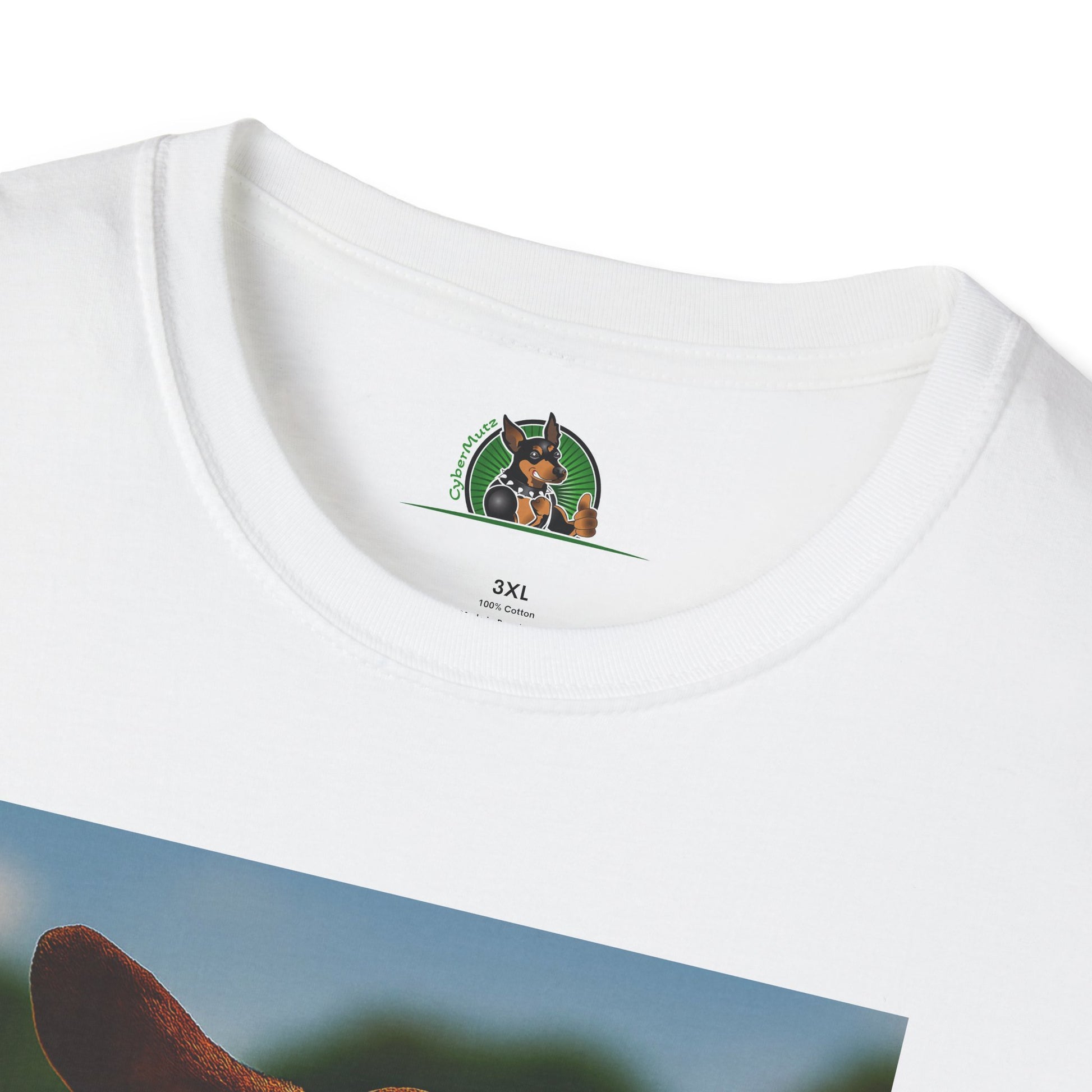 Sports Dachshund Football T-Shirt T-Shirt Printify