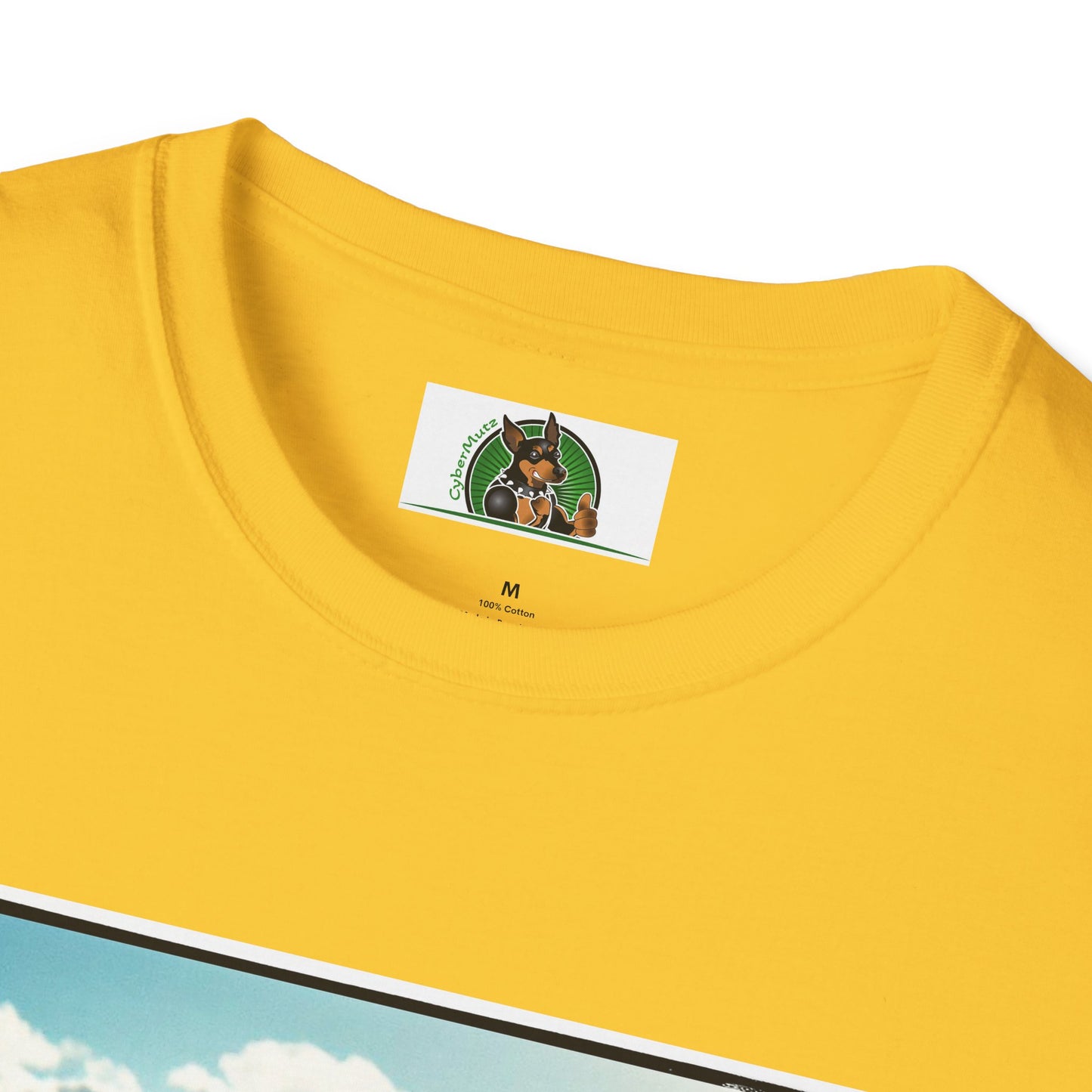 Australian Shepherd Dogs In Car