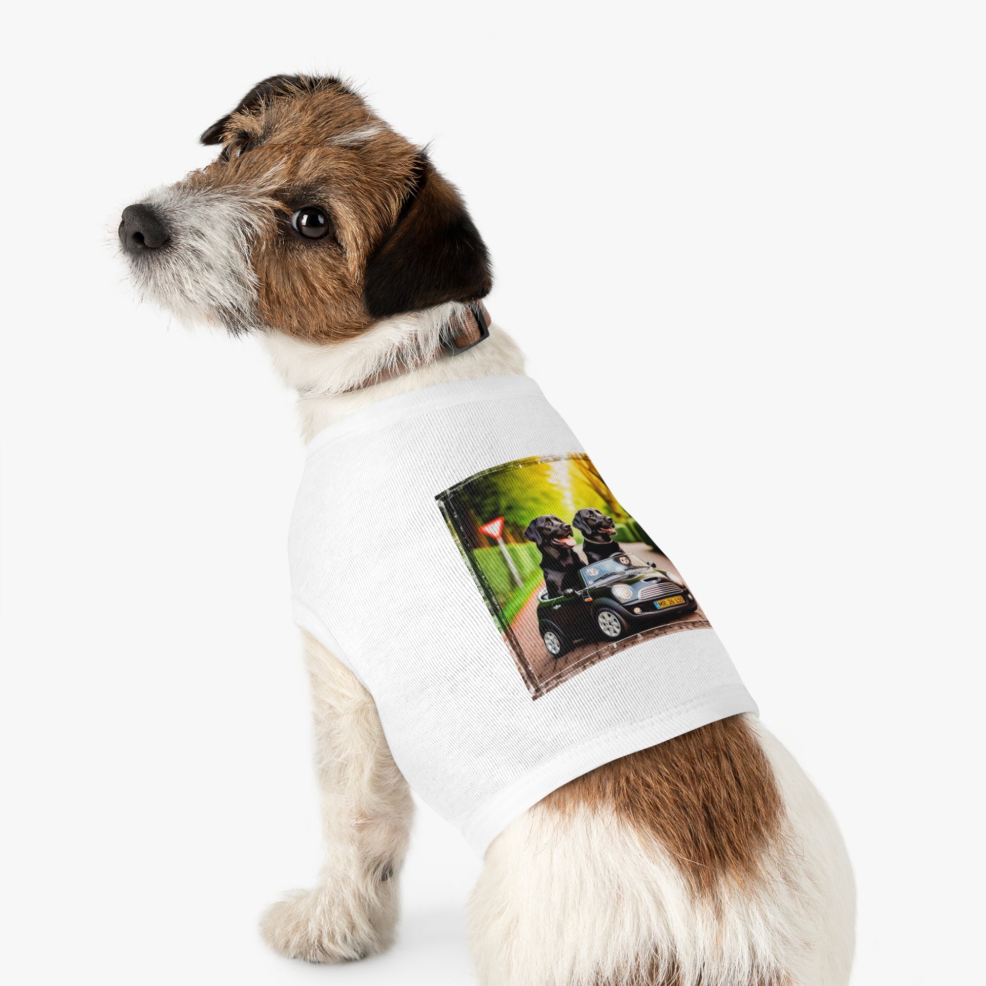 Labrador Retriever two friends tiny car shirt Pets Printify