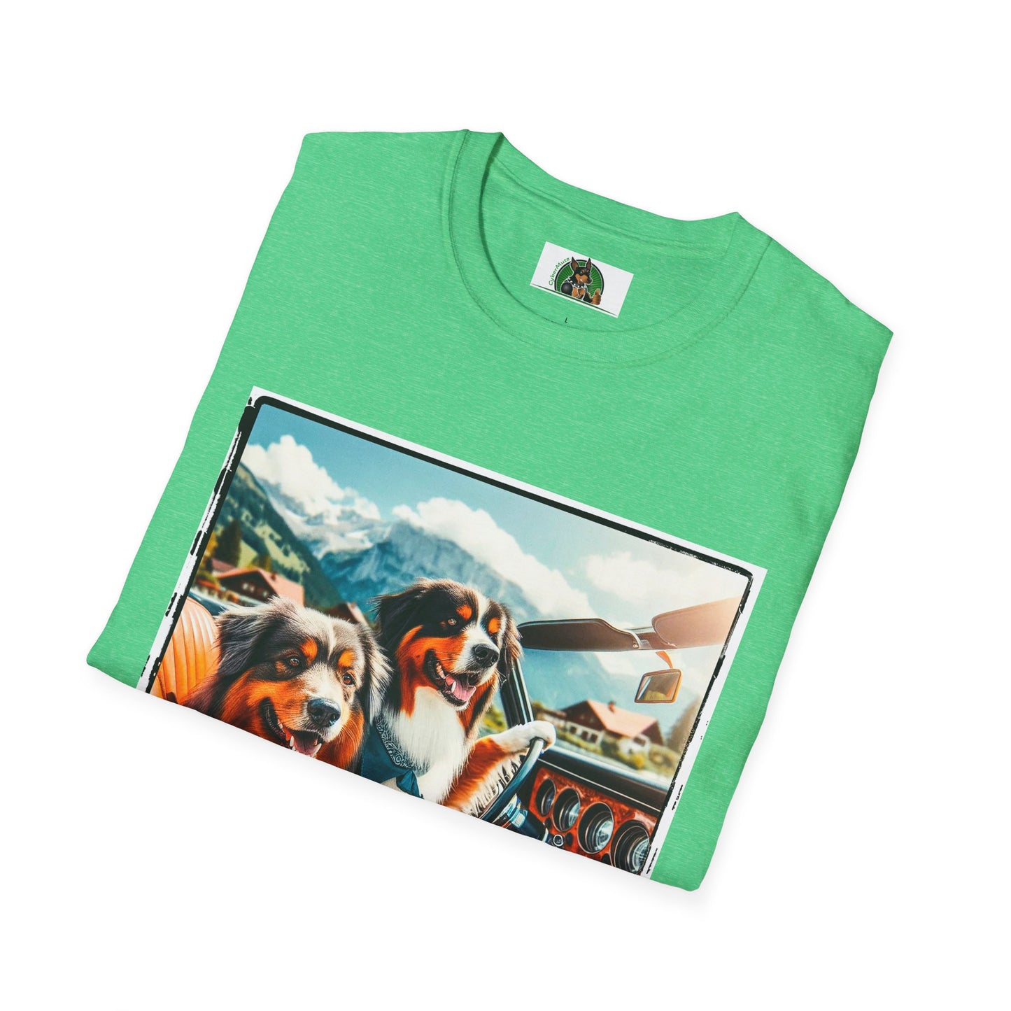 Australian Shepherd Dogs In Car