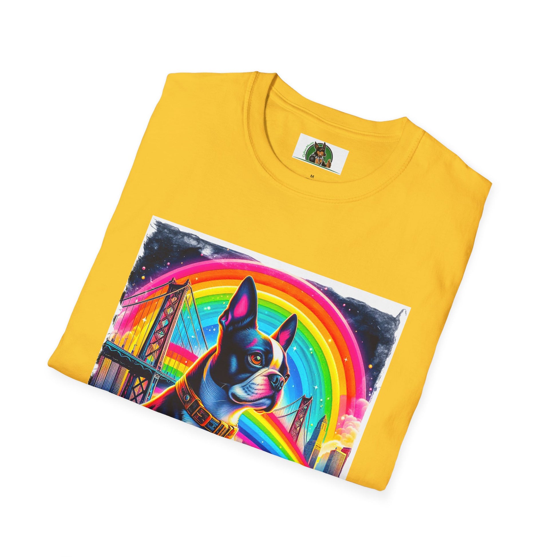 Boston Terrier Rainbow Bridge Dog At Beach T-Shirt Printify   