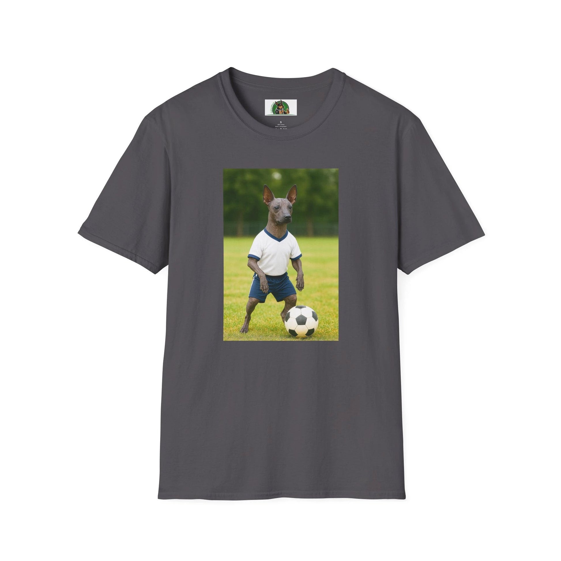 Mexican Hairless Dog Soccer T-Shirt — Dog Lover Sports Tee T-Shirt Printify Charcoal S