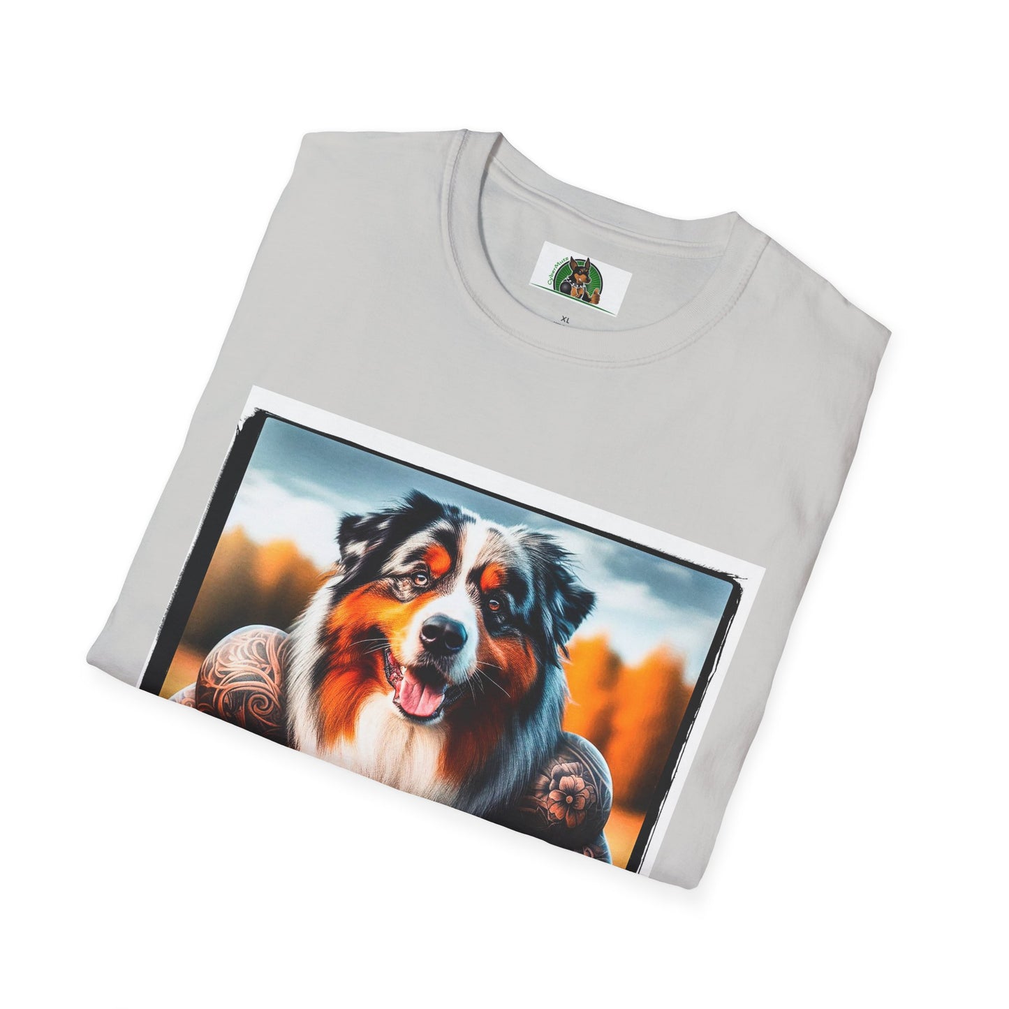 Australian Shepherd Muscle Dog