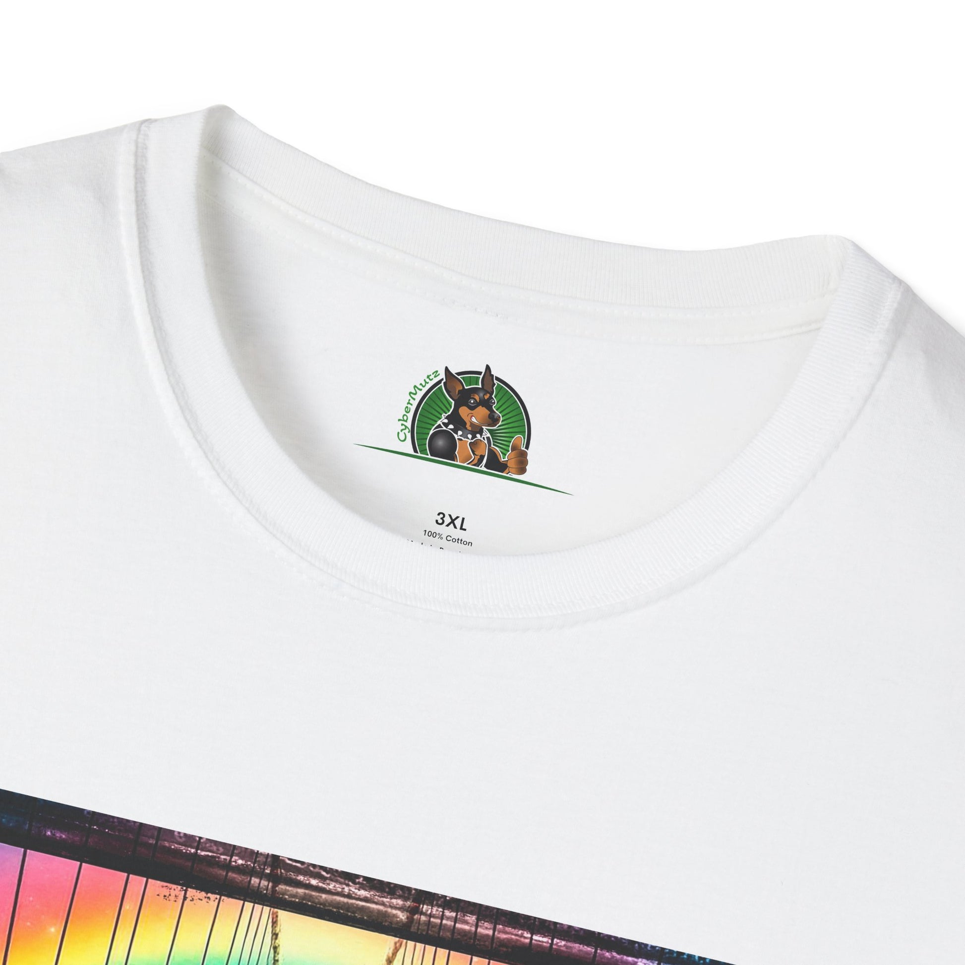 Australian Shepherd Bright Rainbow Bridge T-Shirt Printify