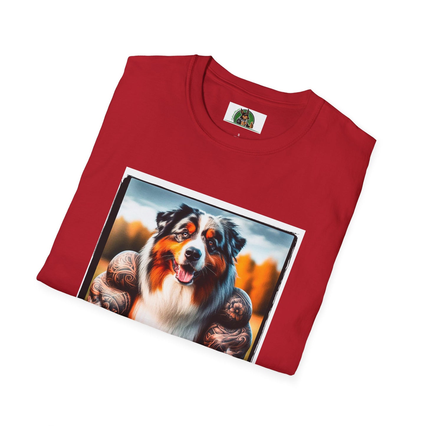 Australian Shepherd Muscle Dog