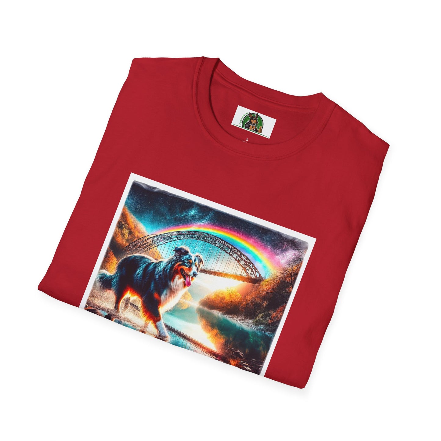 Australian Shepherd Rainbow Bridge At Night