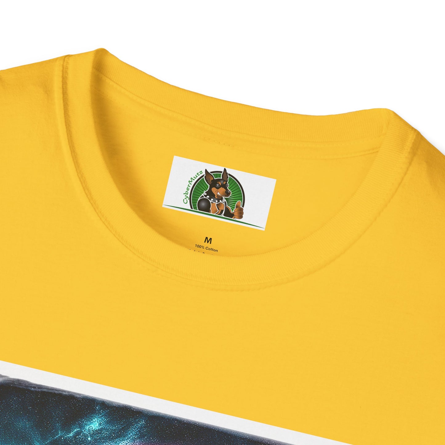 Australian Shepherd Rainbow Bridge At Night