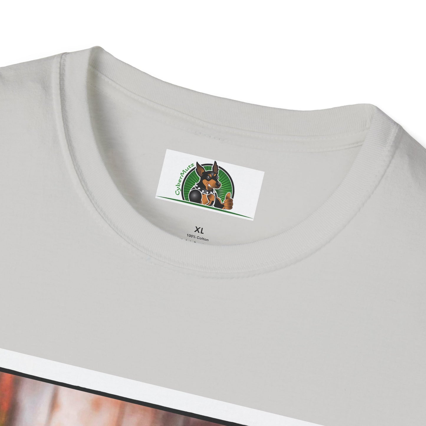 Australian Shepherd With Fedora Hat