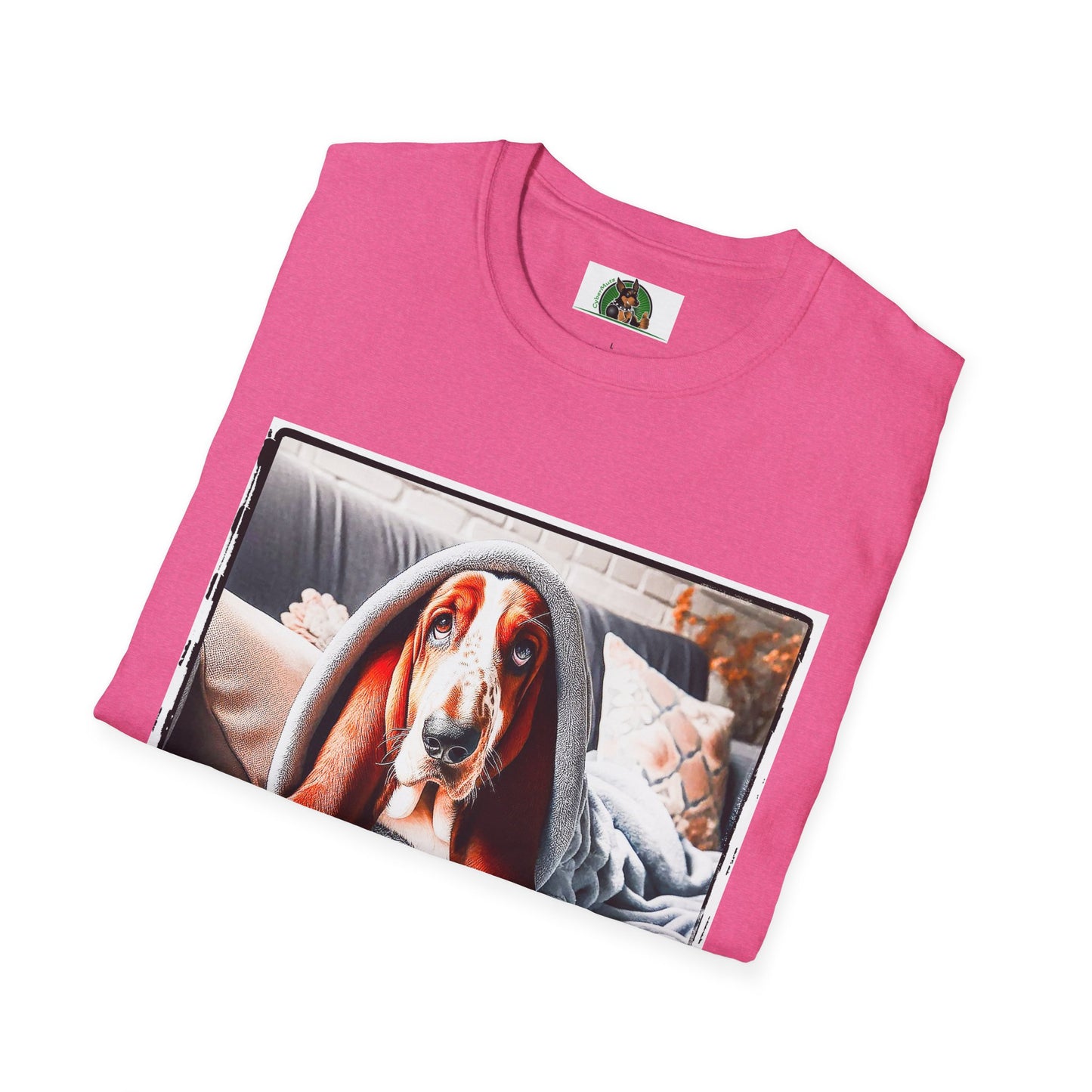 Basset Hound Draped In Blanket