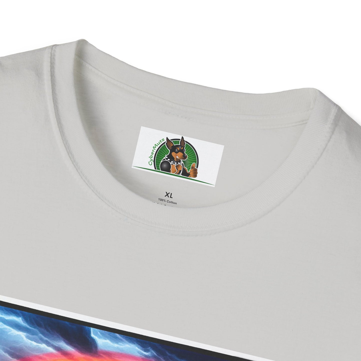 Australian Shepherd Walking Rainbow Bridge