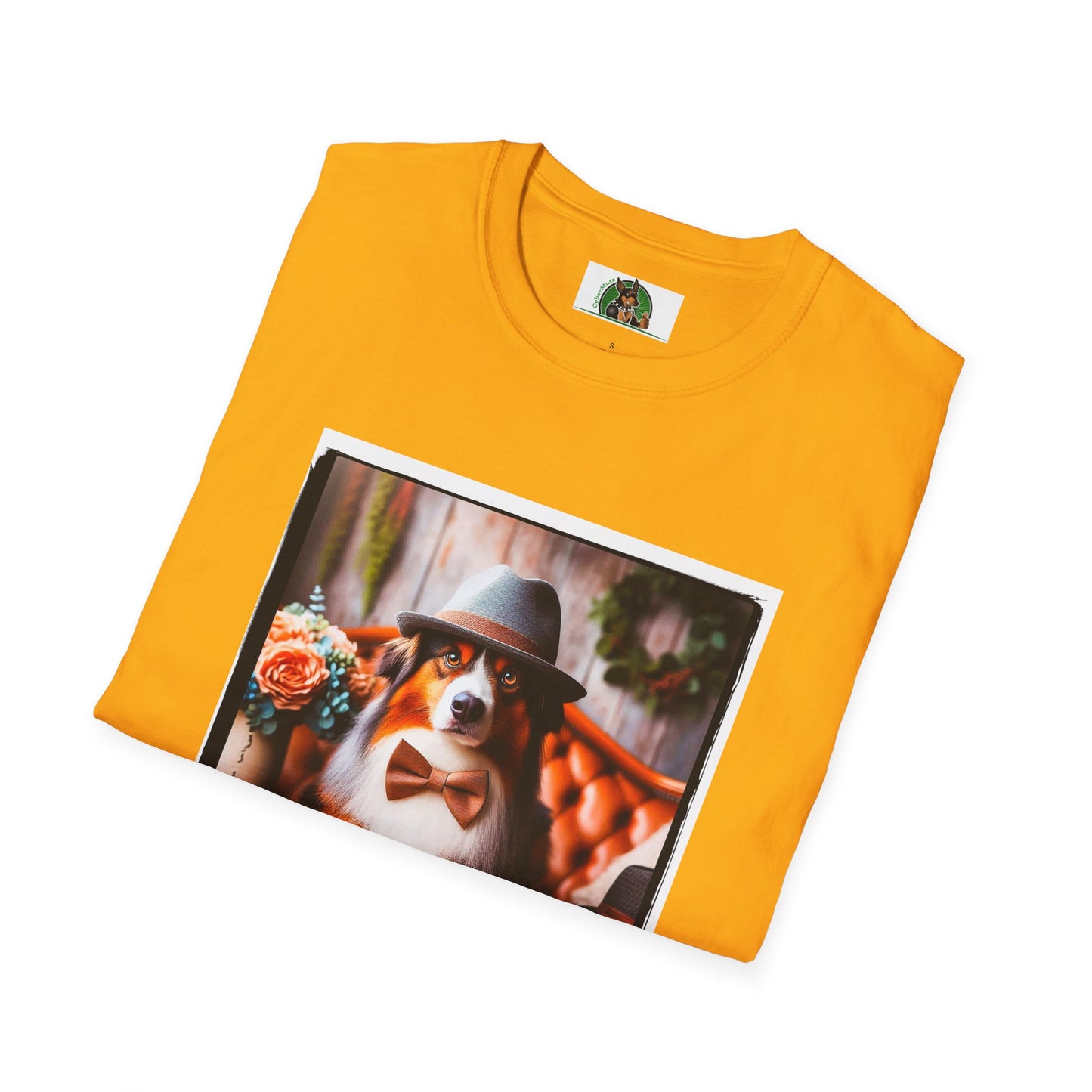 Australian Shepherd With Fedora Hat