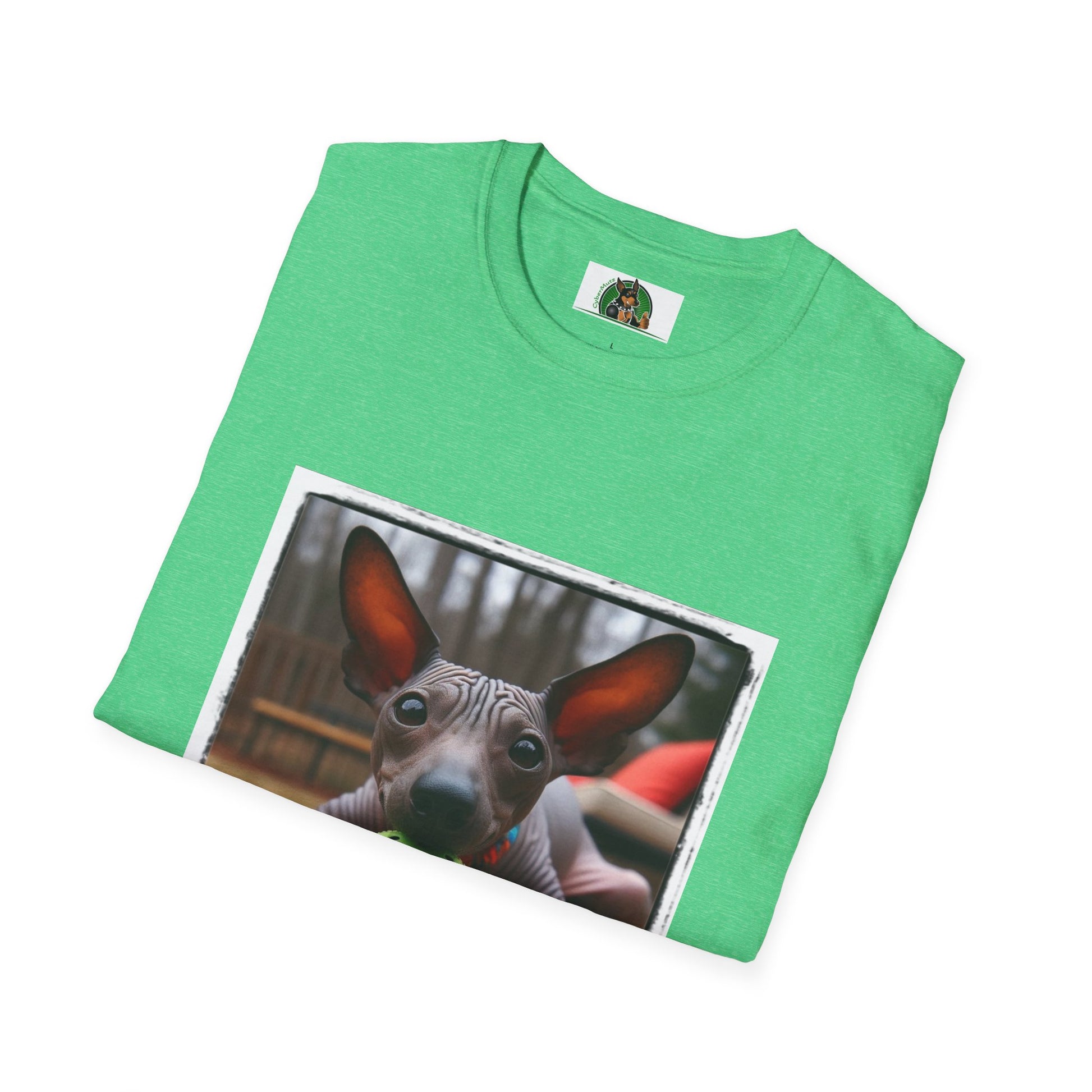 Mexican Hairless Dog T-Shirt Printify   