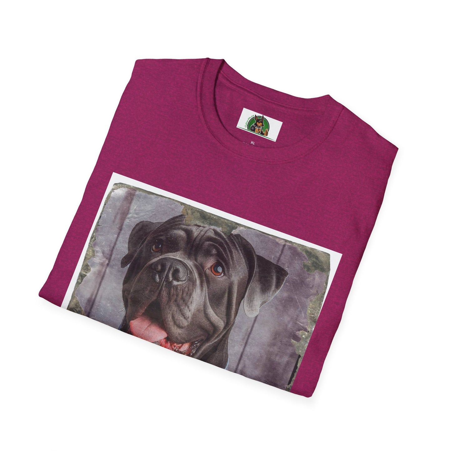 Cane Corso Wearing Suit And Tie TShirt