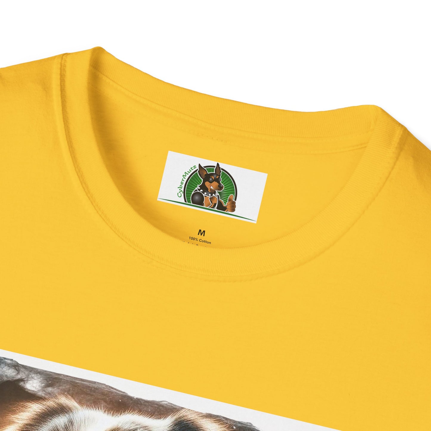 Australian Shepherd Profile Pic