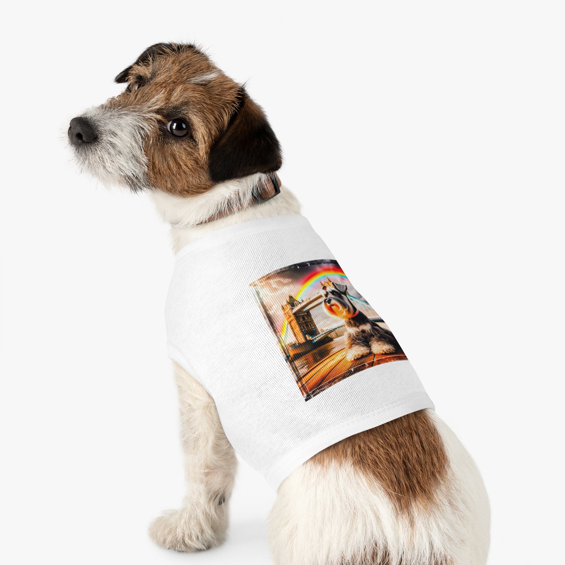 Miniature Schnauzer rainbow bridge shirt Pets Printify
