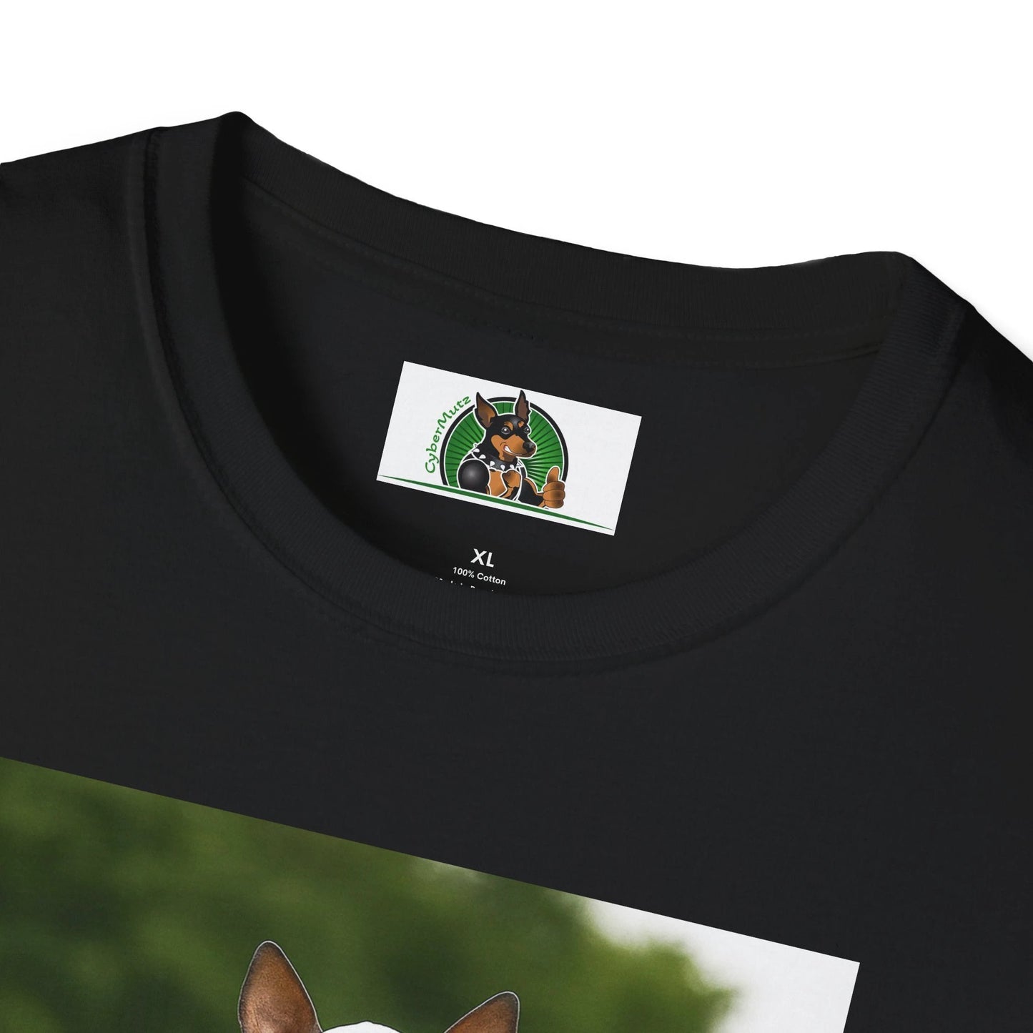 Mexican Hairless Dog Baseball Tee — Dog Lover Sports T-Shirt T-Shirt Printify