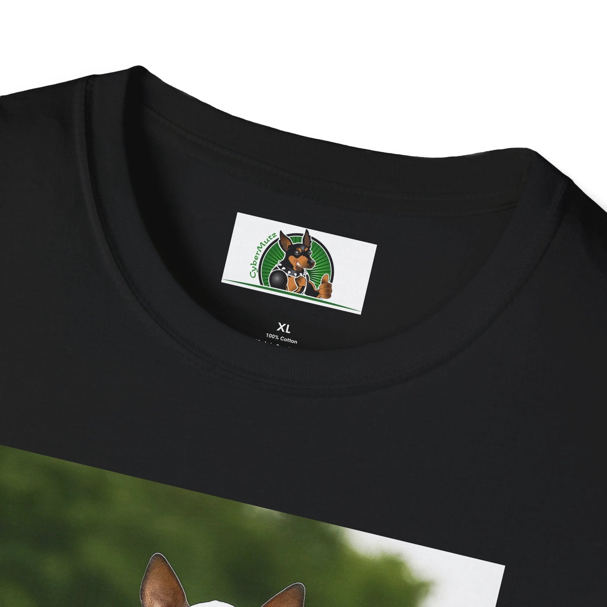 Mexican Hairless Dog Baseball Tee — Dog Lover Sports T-Shirt T-Shirt Printify
