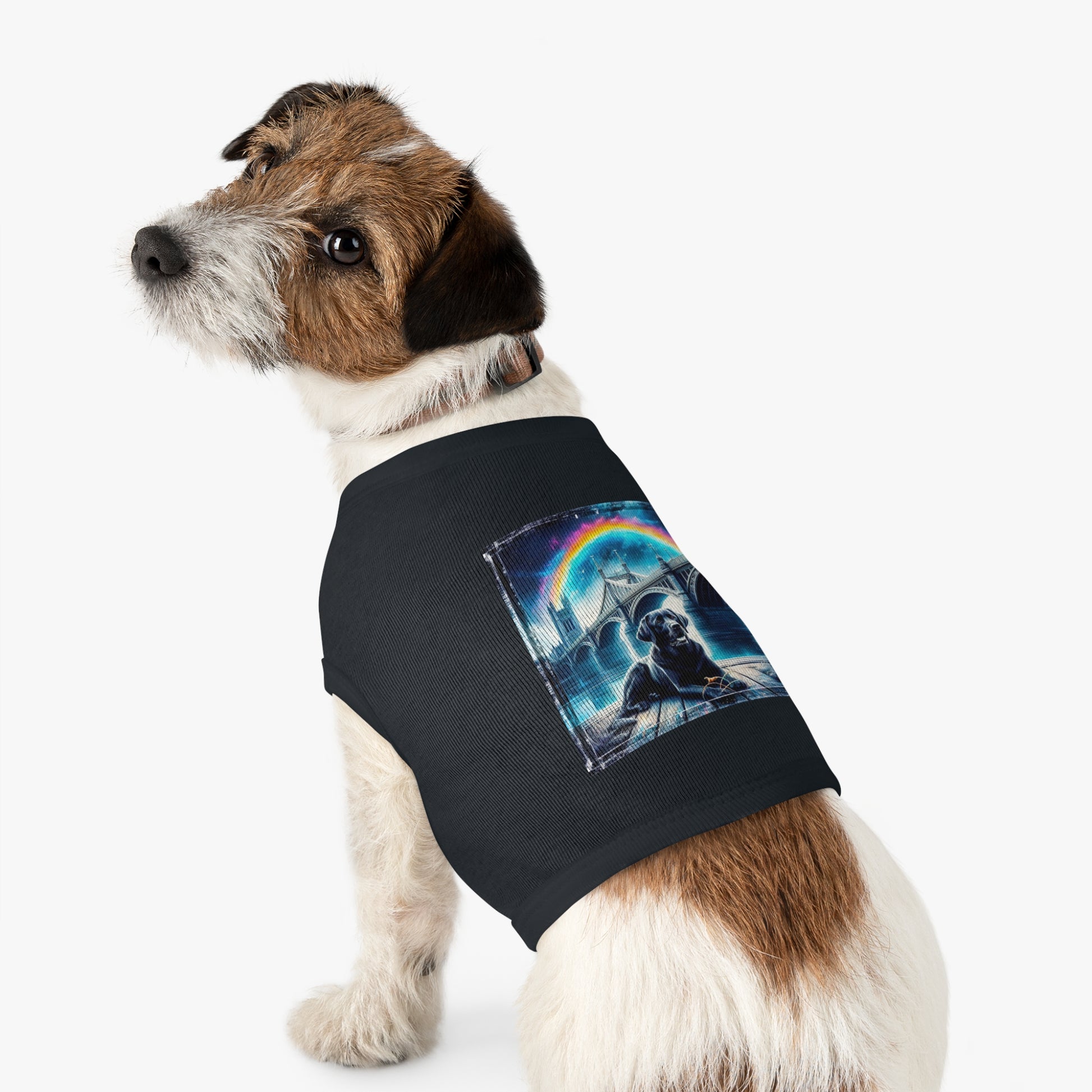 Labrador Retriever night sky shirt Pets Printify
